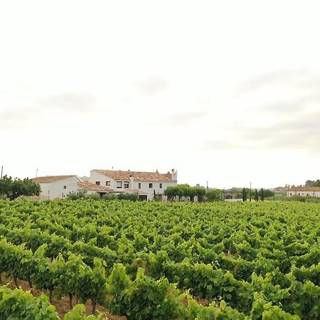 Villa Soul Farm Mas Els Igols Torrellas de Foix Esterno foto