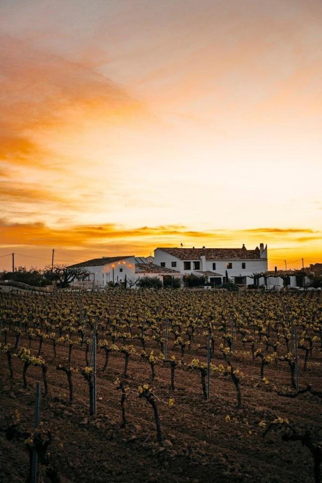 Villa Soul Farm Mas Els Igols Torrellas de Foix Esterno foto