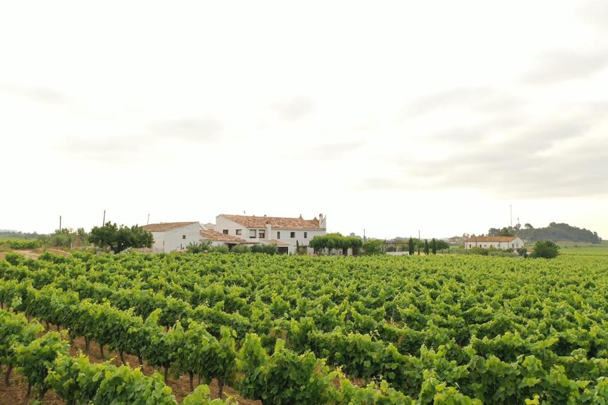 Villa Soul Farm Mas Els Igols Torrellas de Foix Esterno foto